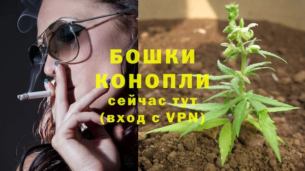 спиды Михайлов