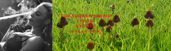 хмурый Михайловск