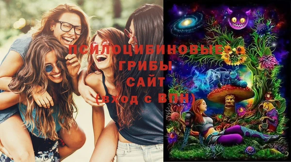 спиды Михайлов