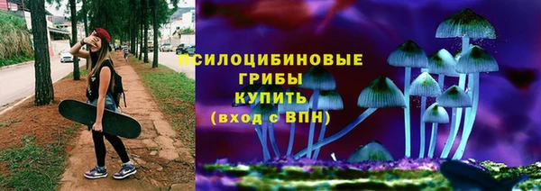 спиды Михайлов
