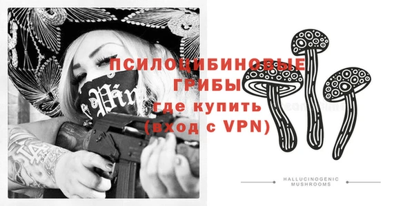 спиды Михайлов