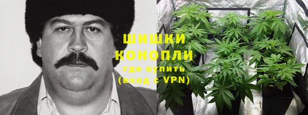 хмурый Михайловск