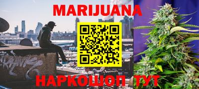 ALPHA PVP Абакан