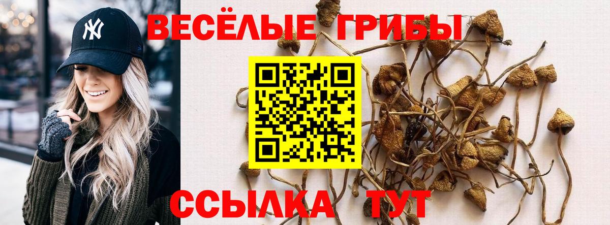 Псилоцибиновые грибы прущие грибы Аша