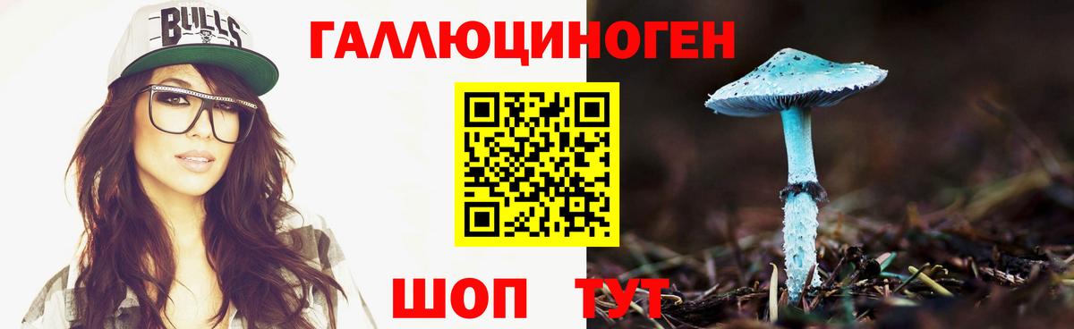 Галлюциногенные грибы мухоморы  Галлюциногенные грибы Psilocybe  Аша  Вход с VPN 